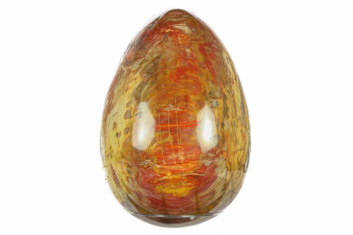 Colorful, Polished Petrified Wood Egg - Madagascar #286085